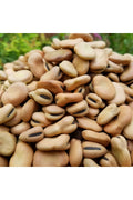 Kuru Bakla 5 Kg