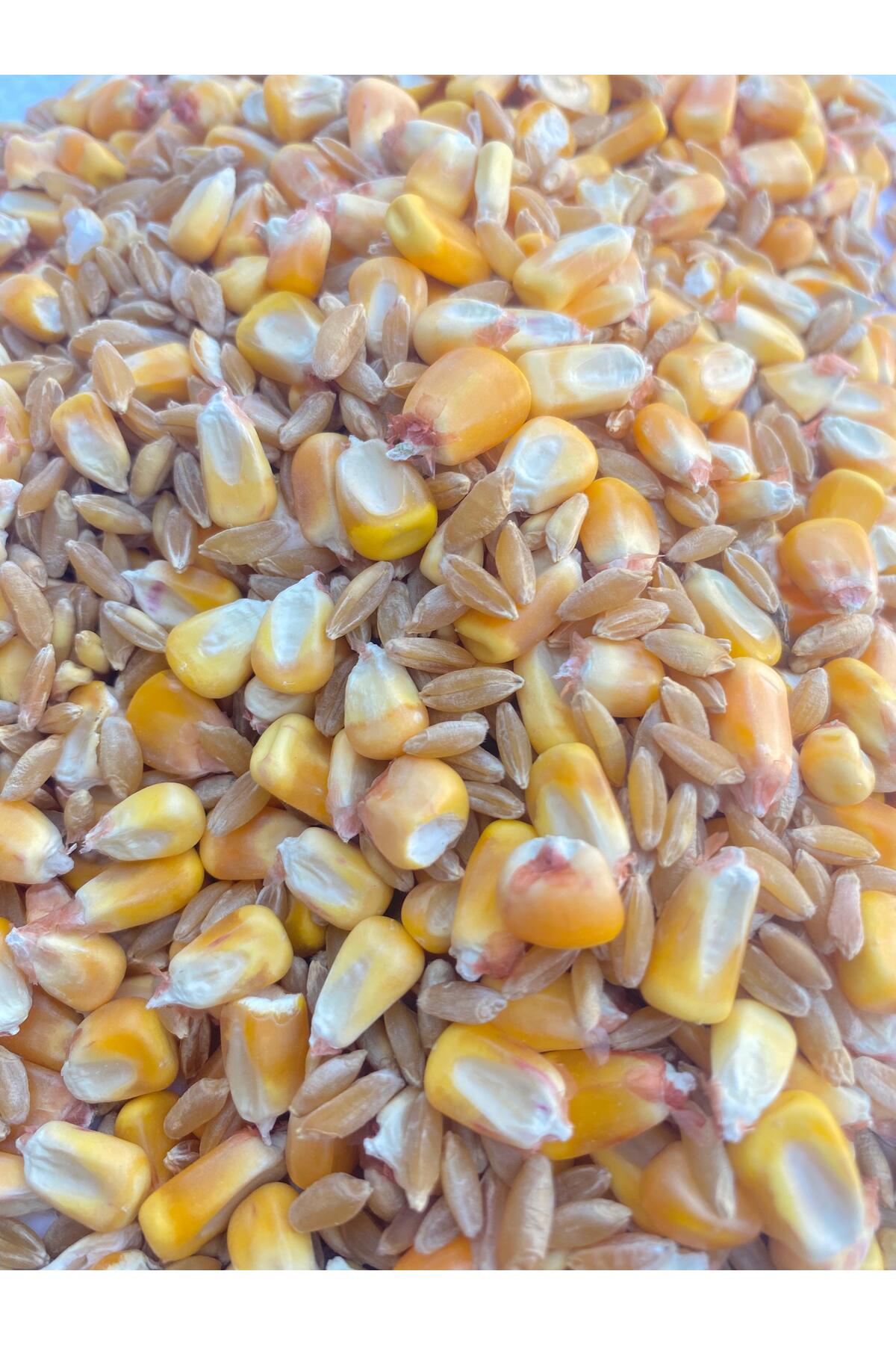 Kanatlı Yemi İkili Karışım - 1 kg – Bütün Mısır, Buğday
