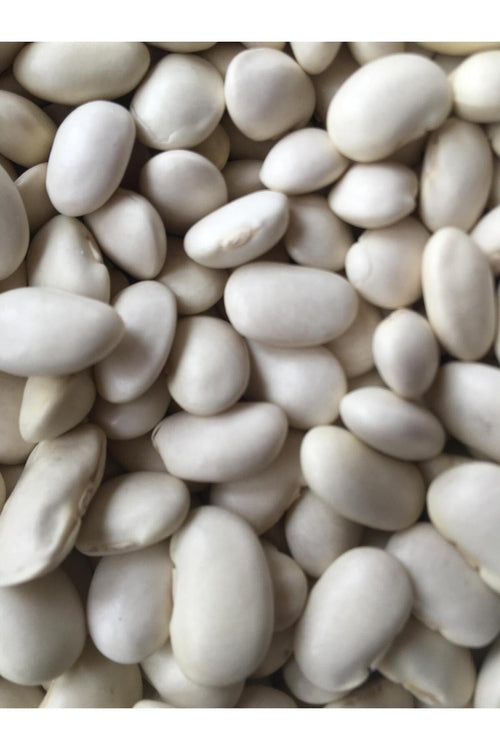 Bombay Fasulye 10KG - İri Taneli Fasulye