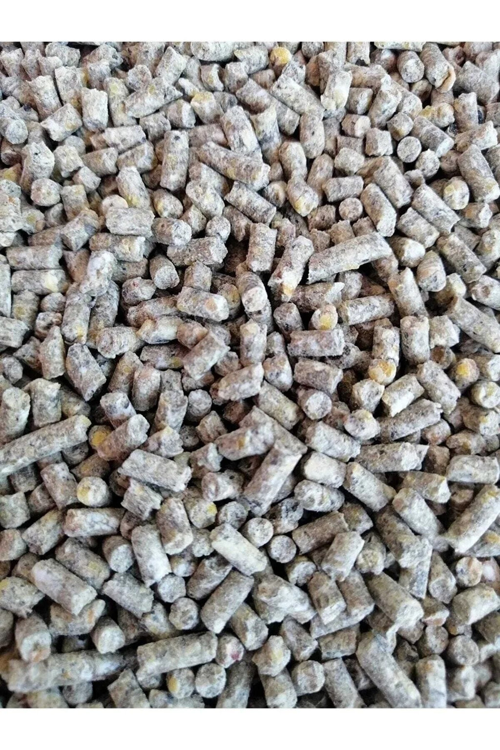 Topal Koz Yem 50 Kg Gezen Tavuk Yumurta Yemi Pelet (tüm Kanatlılar Için Uygundur)