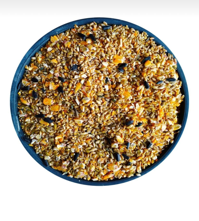 Karışık Tavuk Yemi Atom 10 Kg