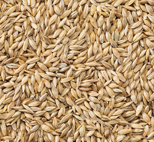 Arpa Naturel Yemlik 25 kg