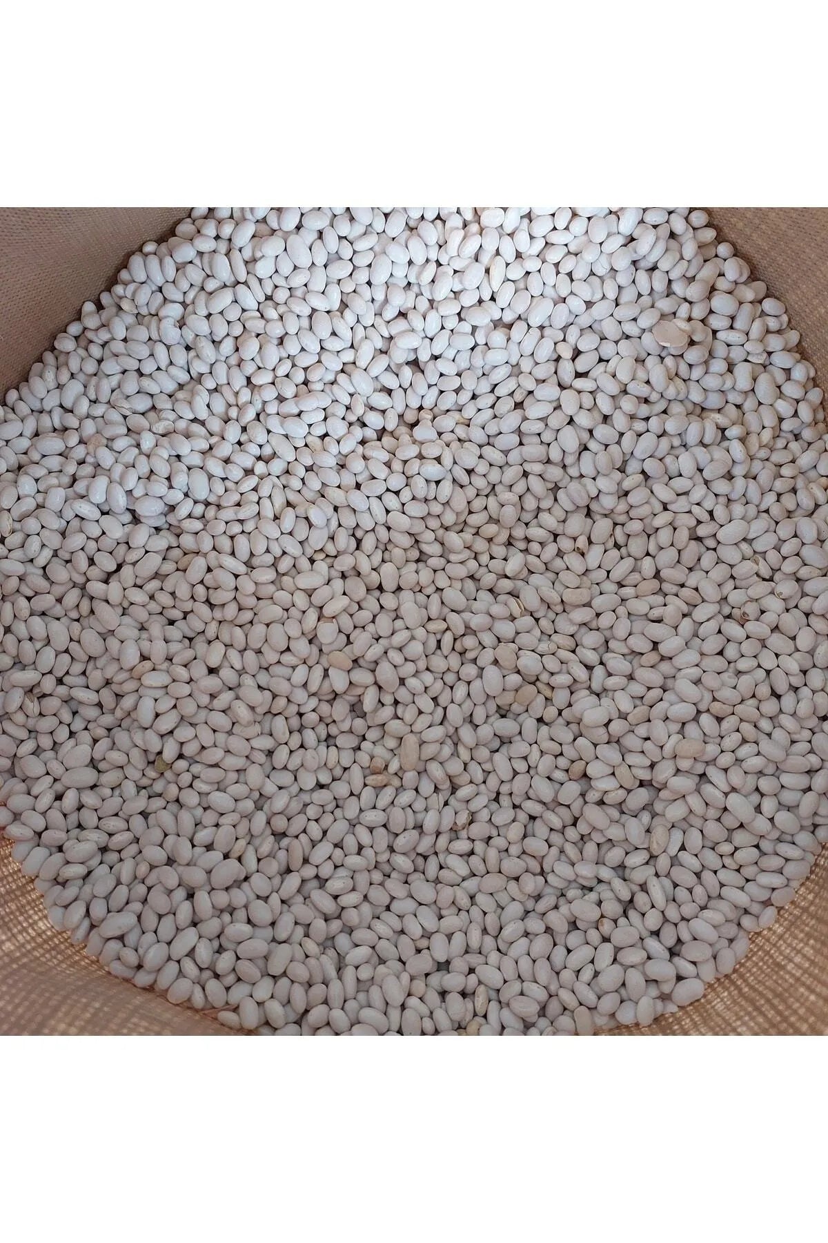 Şenler Zahire Kuru Fasulye 25 kg